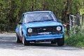 Monaghan Stages Rally 2014 SS7 (39 of 88)